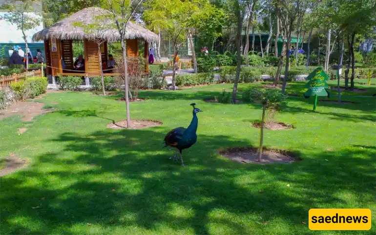  Mashhad Bird Garden
