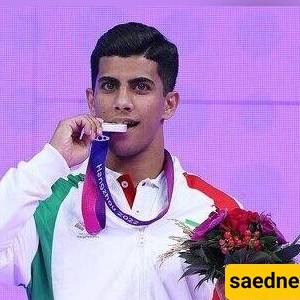 [VIDEO] Iranian Gymnast Mehdi Olfati Is Outstanding at Paris Olympics: A Stunning Vault Performance!