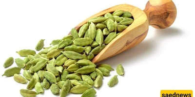 Proper Ways to Grind Cardamom in 4 Methods