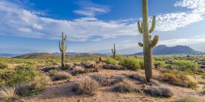 Why Are Some Deserts Surprisingly Cold?