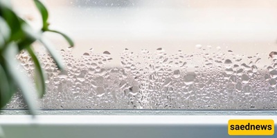 Household Items That Increase Home Humidity