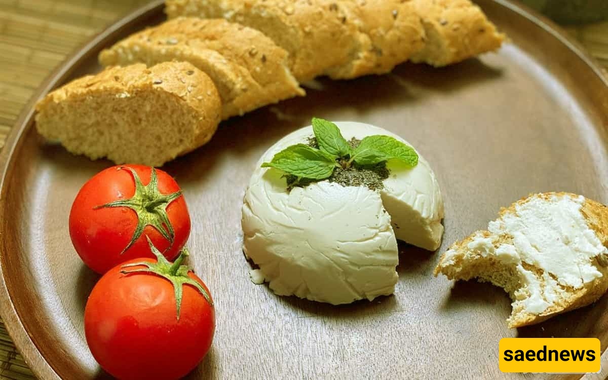 How to Make Delicious Plant-Based Cheese!