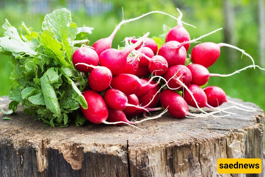 Radishes