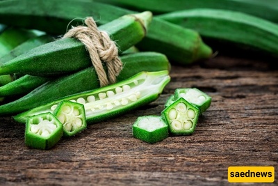 Okra: Health Benefits, Nutritional Properties, Uses, Side Effects, and Temperament for Men and Women
