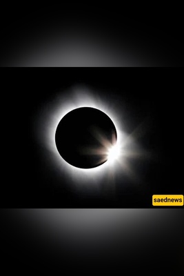 Zodiac Eclipse Guide: What Every Sign Needs to Know