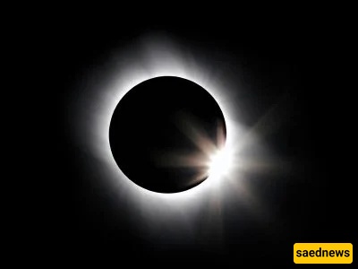 Zodiac Eclipse Guide: What Every Sign Needs to Know