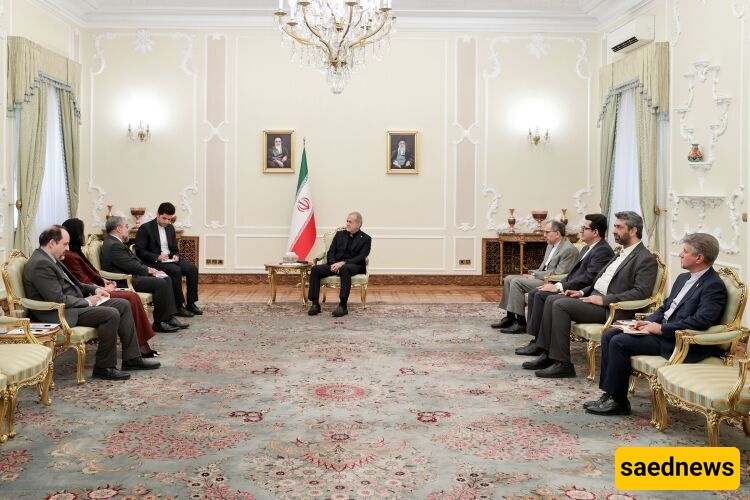 Iran Slams Western Silence on Gaza, Hails Brazil’s Support for Palestine