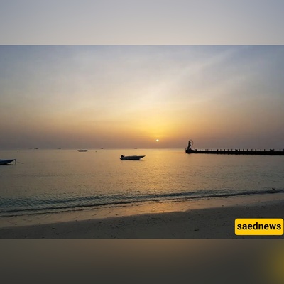 Kish’s Marjan Beach: Golden Reefs, Giant Sculptures and an Aquarium with 800+ Species