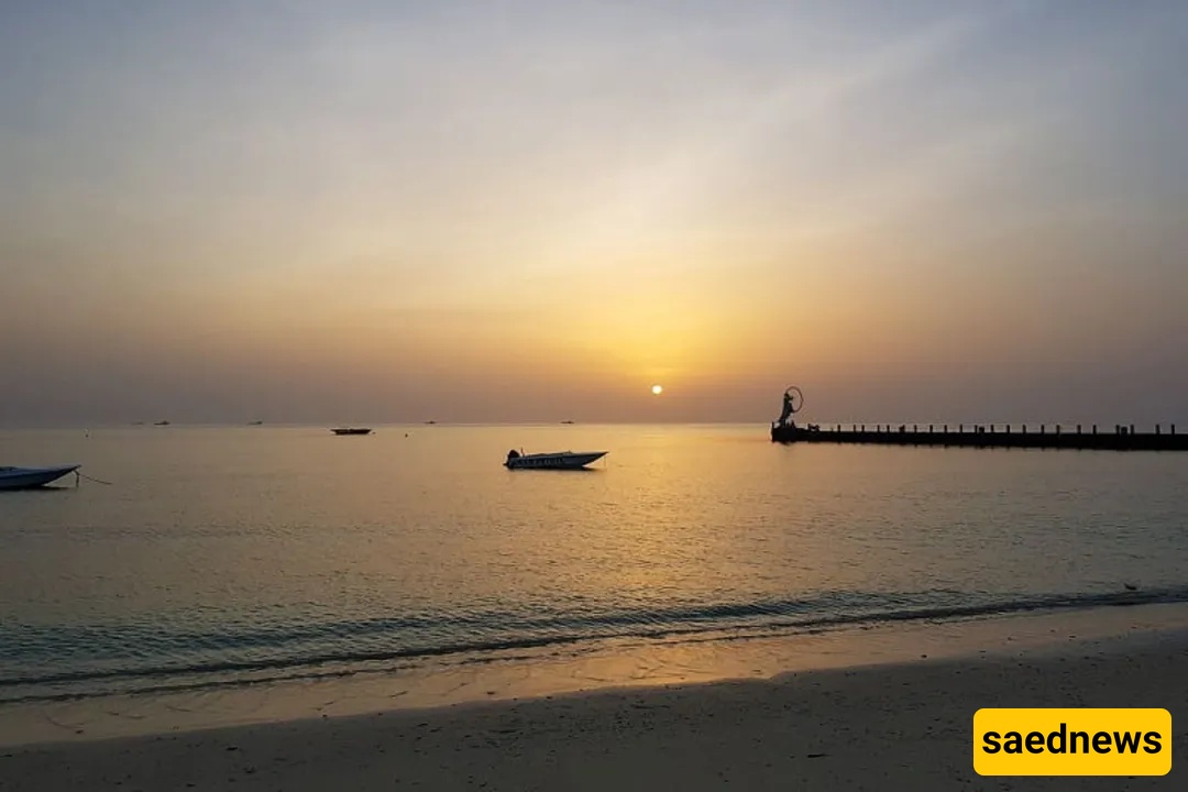Kish’s Marjan Beach: Golden Reefs, Giant Sculptures and an Aquarium with 800+ Species