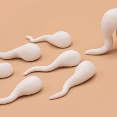 Can a Hand Contaminated with Sperm Cause Pregnancy? / A Scientific and Evidence-Based Review