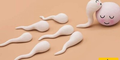 Can a Hand Contaminated with Sperm Cause Pregnancy? / A Scientific and Evidence-Based Review