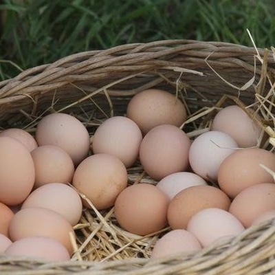How To Identify Fresh Eggs Without Breaking Them