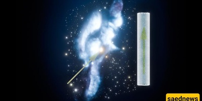 What Does Stardust Tell Us About The Solar System?