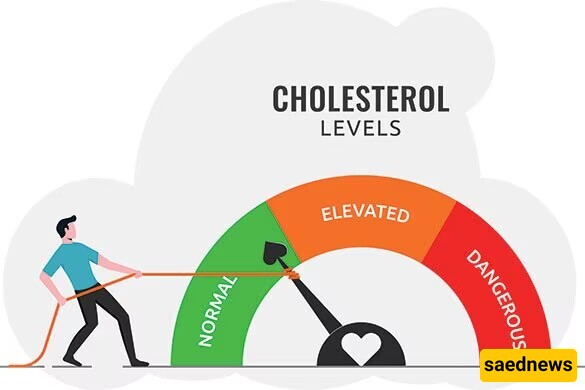 Cholesterol Reduction