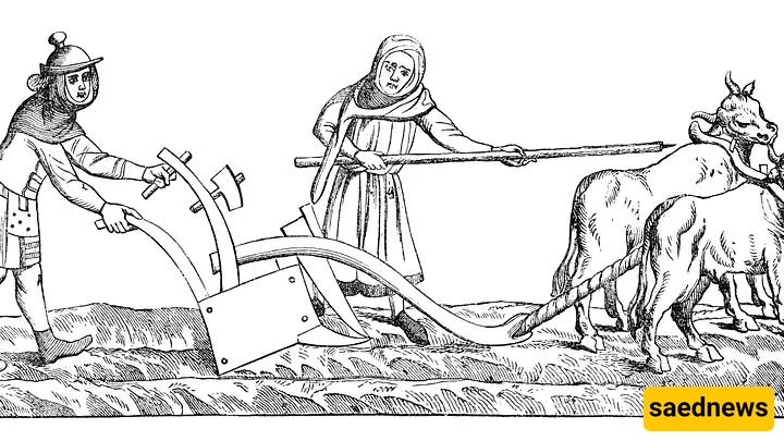 Farmer