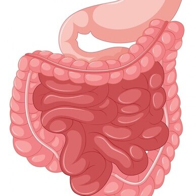Everything about the side effects and uses of Cilox tablets