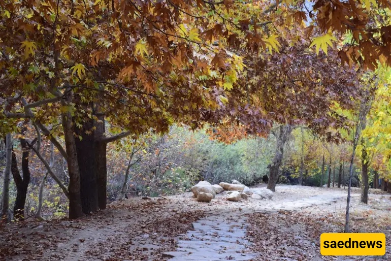 Shiraz Nature