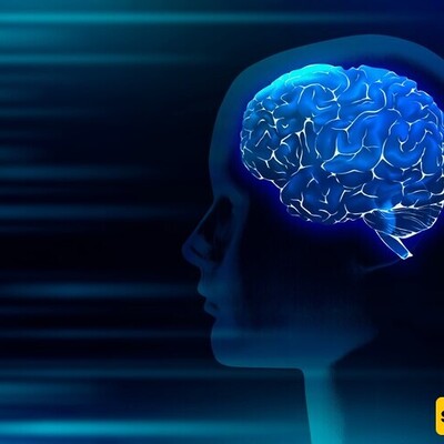 The Speed of Human Thought: In the Digital World, Our Brain Is Still Lagging Behind!