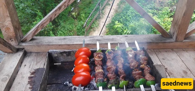 dalekhani forest