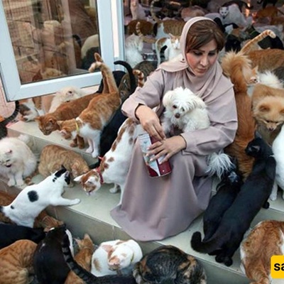 The Unusual Life of an Omani Woman Living with 500 Cats and Dogs in Her Home