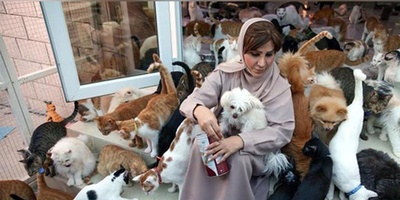 The Unusual Life of an Omani Woman Living with 500 Cats and Dogs in Her Home