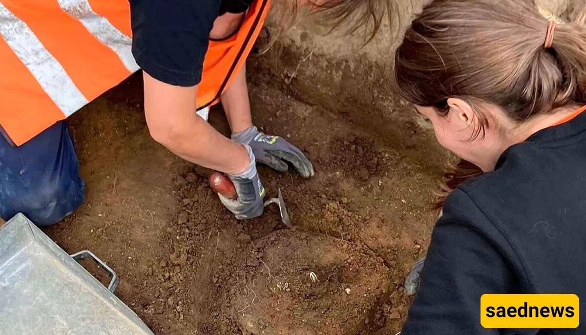 After 2,800 Years, the Golden Spear Treasure Is Finally Unearthed