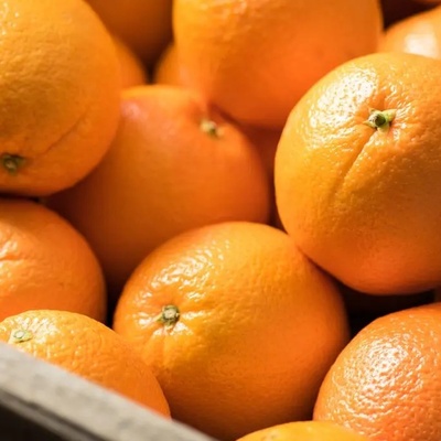 How to Store Oranges So They Stay Juicy Inside