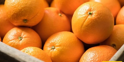 How to Store Oranges So They Stay Juicy Inside