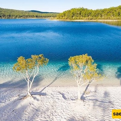 Fraser Island: Everything You Need to Know