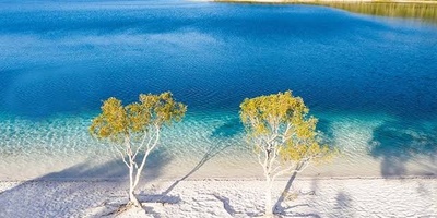 Fraser Island: Everything You Need to Know