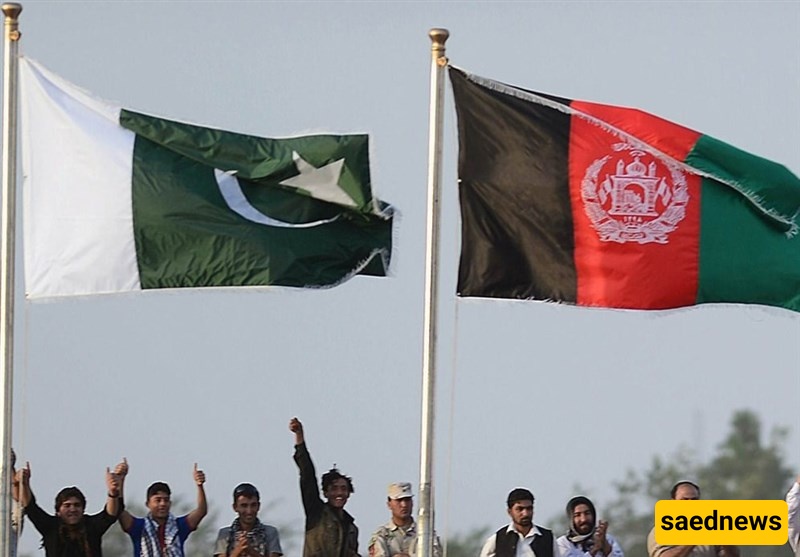 Afghanistan-Pakistan Trade Grows to Nearly 1 bln USD in H1