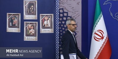 Iran Has Not Yet Decided on NPT Withdrawal: Spox.