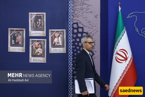 Iran Has Not Yet Decided on NPT Withdrawal: Spox.