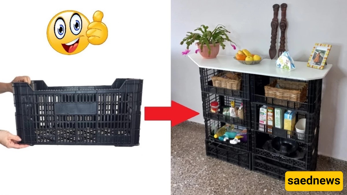 Creativity Time: Make a Shoe Rack from Plastic Fruit Containers – A Fun Upcycling Idea for Your Home