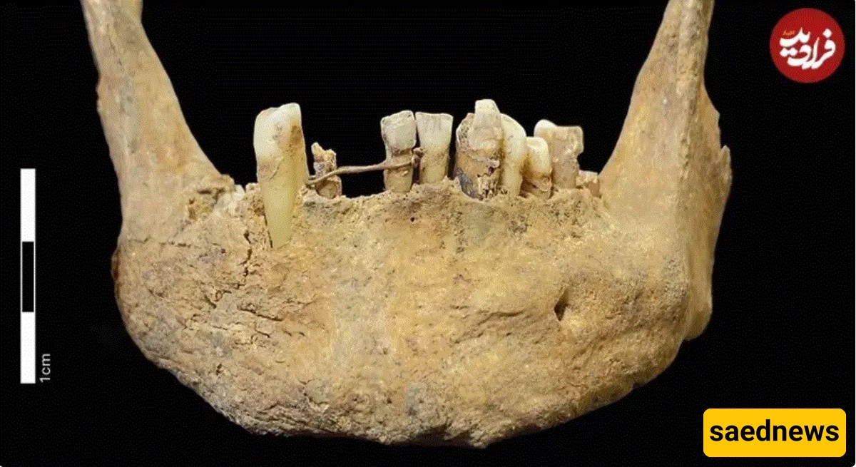 Golden Dental Wiring