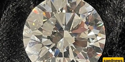 A Valuable Treasure a Woman Discovered in Her Home