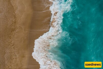 The Warming Seas: What’s Driving Rising Ocean Temperatures