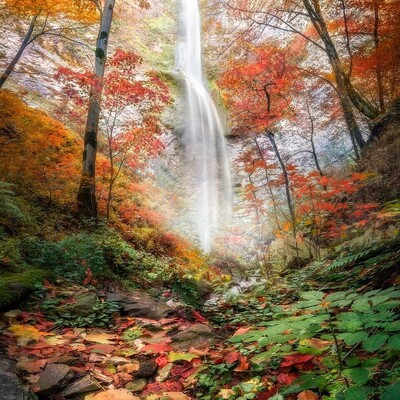 Take a Moment to Enjoy This Beauty! Siyah Cheshman Waterfall is Undoubtedly One of The Most Stunning Waterfalls In Iran😍 + Video