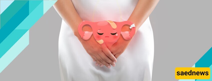 The Amazing Benefits of Mallow for Treating Uterine Infections