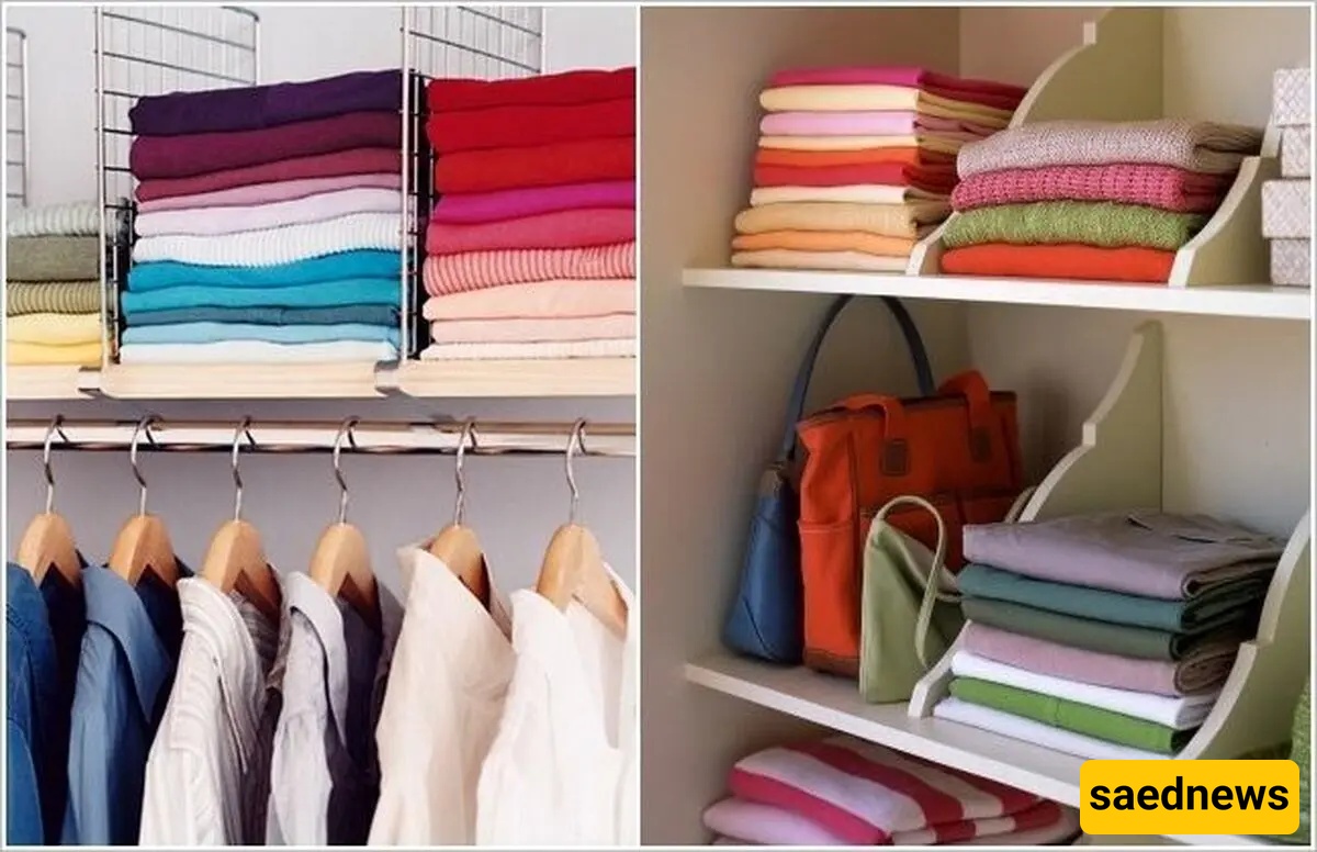 clothes 