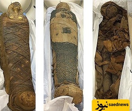 Bizarre Treasure Found in the Mouth of a 3,000-Year-Old Woman’s Corpse [Photos]