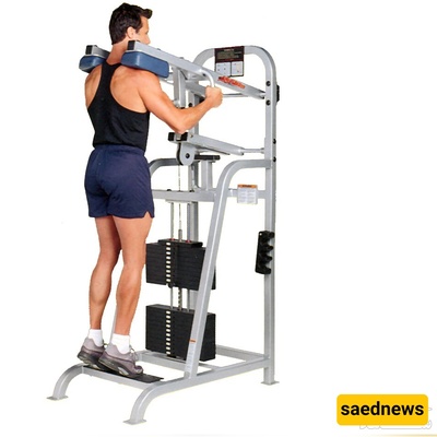 Principles and Method of Performing Standing Calf Raise Exercise with Machine