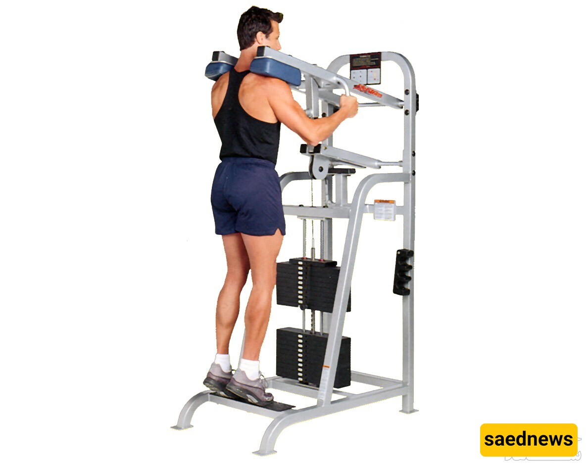 Principles and Method of Performing Standing Calf Raise Exercise with Machine