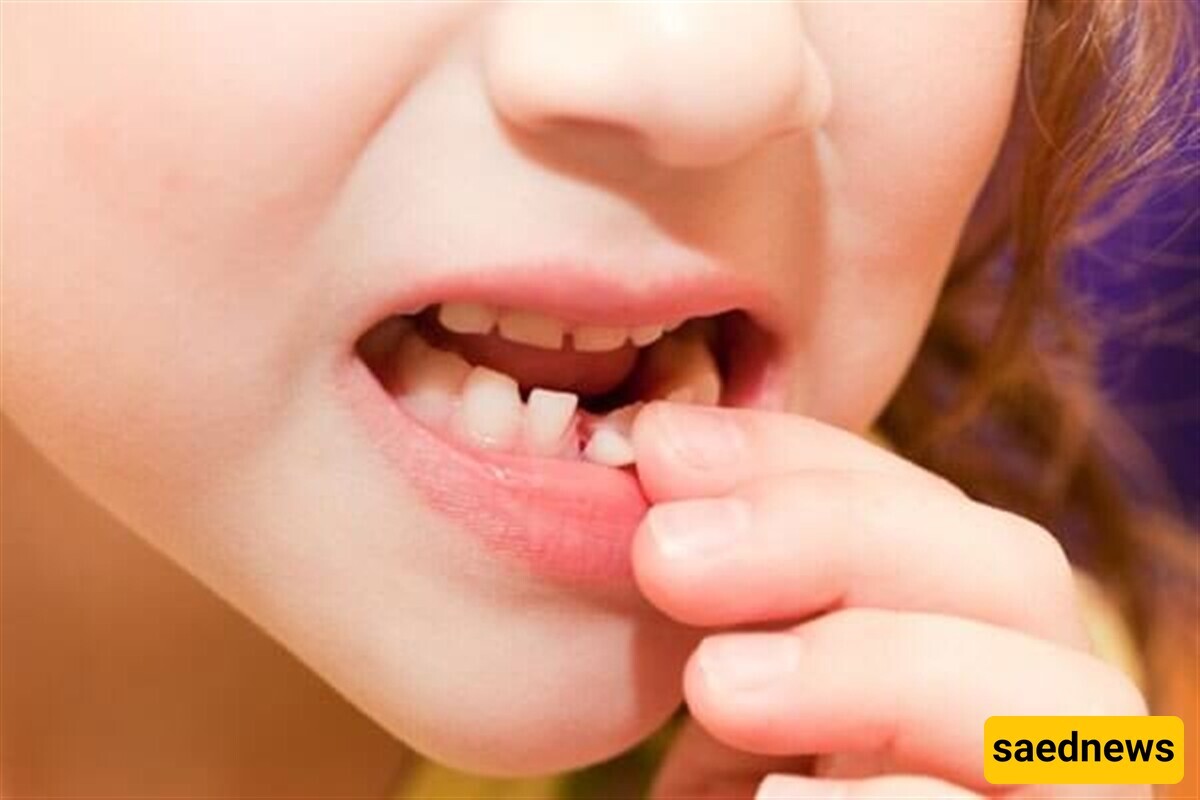 The Importance Of Baby Teeth And Their Impact On Permanent Teeth / When Should I Take My Child To The Dentist?