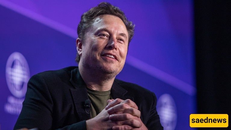 Controversial Claim by Elon Musk: Names of Senior Democrats Appear in Epstein Documents