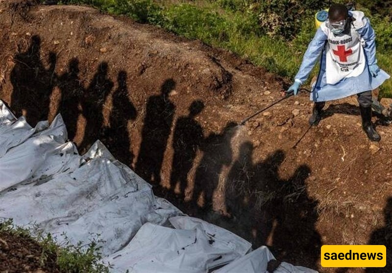 DR Congo, M23 Armed Group Sign Ceasefire Deal