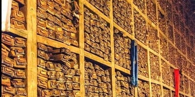 The World's Most Mysterious Library in Tibet—Where Only 5% of Its Books Are Translated (Maybe We Really Know Nothing About the Truths of the World)