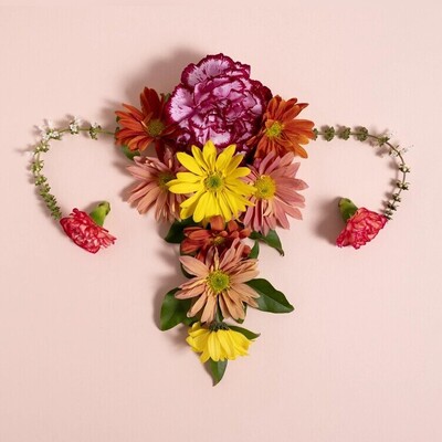 Types of Menopause and Their First Symptoms