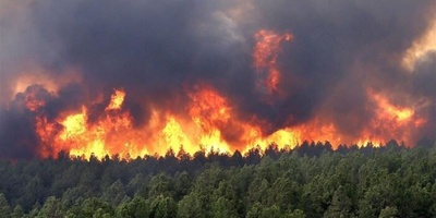 Elit Forest Fire Now Under Control