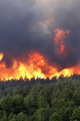 Elit Forest Fire Now Under Control